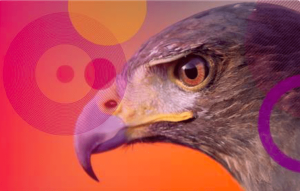 Nueva campaña de espionaje de día cero en Microsoft atribuida a Stealth Falcon