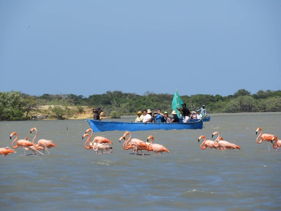 Nuevo circuito de turismo y economía solidaria en La Guajira: La Ruta Turística Camarones