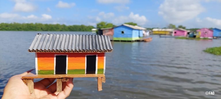Palafitos que laten: rutas de Paisajes Sostenibles en la Ciénaga Grande