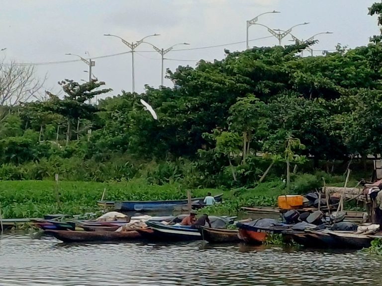 Pescadores del río Magdalena exploran el turismo comunitario y sostenible