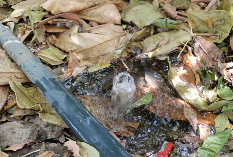 Piden declarar emergencia sanitaria en dos barrios de Santa Marta por materia fecal en el agua