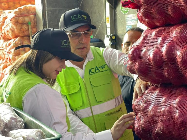 ¡Plan Canguro Exportador! Apuesta para subir ventas agropecuarias al exterior