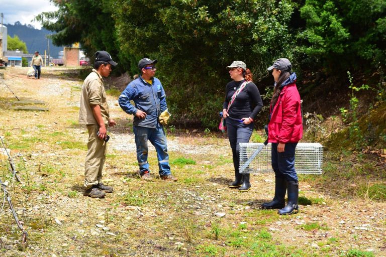 Protegidas más de 60 especies silvestres en la Sabana de Bogotá, por modelo de conservación en obras urbanas
