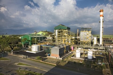 Providencia exportó azúcar y alcohol a 18 mercados internacionales