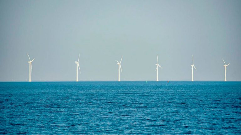 Proyectos de energía eólica costa afuera ya cuentan con términos ambientales