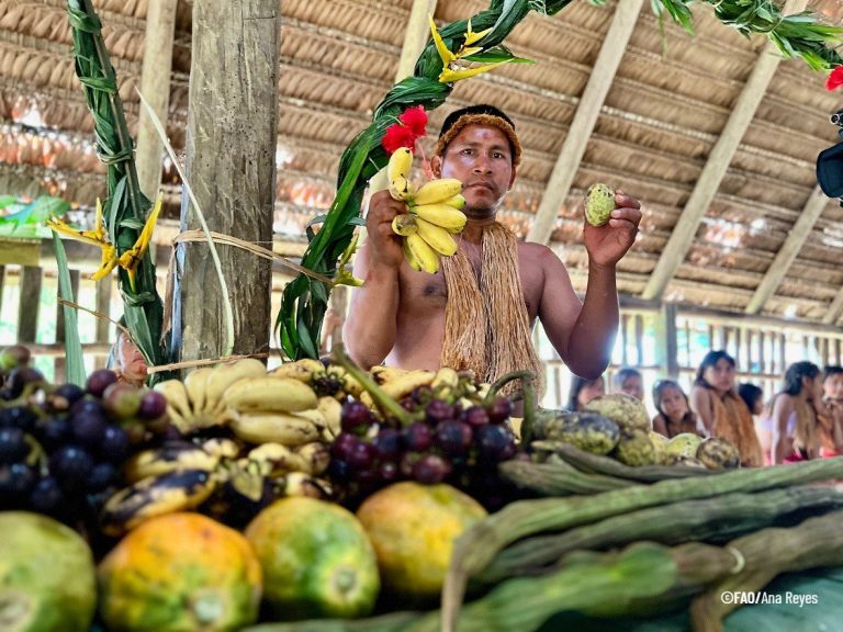 Pueblos Indígenas impulsan soluciones para la sostenibilidad y el futuro del planeta