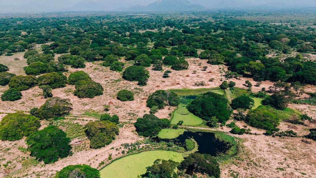 Recuperadas 606 hectáreas de tierras en zona rural de Valledupar