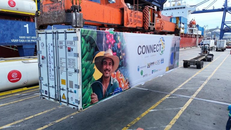 Se fortalecen las exportaciones de Santa Marta