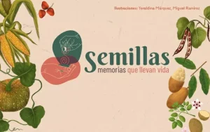 Semillas, memorias que llevan vida: una apuesta por el patrimonio biocultural