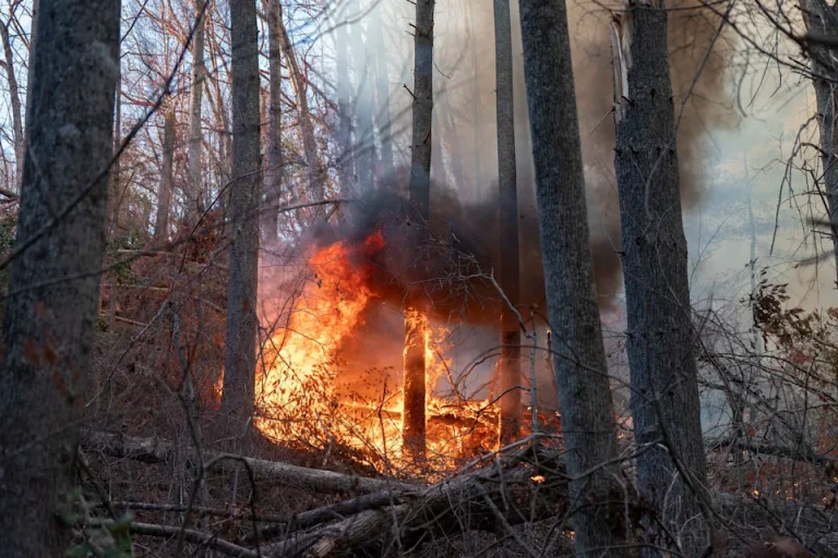 Sequía, viento y escombros de huracanes recientes avivan incendios en EEUU