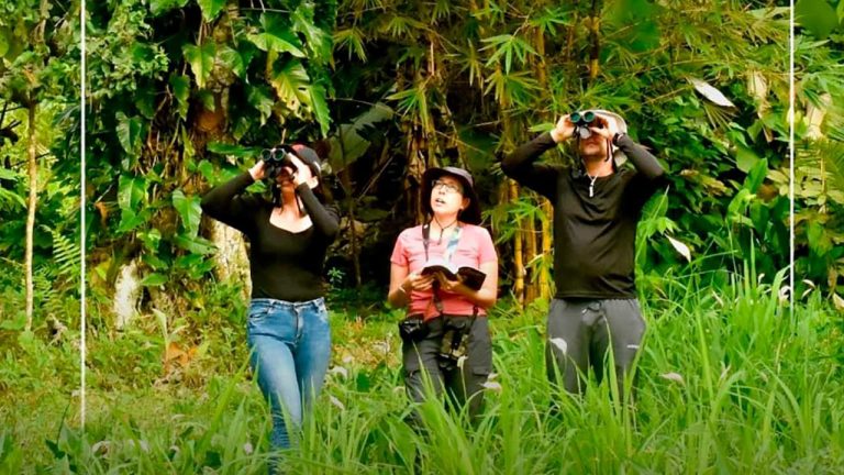 Sigue en alza el turismo internacional hacia Colombia