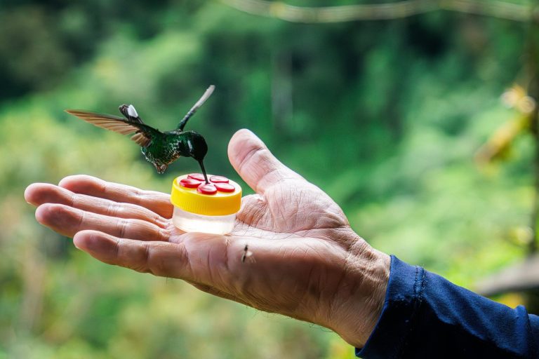 Sostenibilidad, el mayor atractivo turístico colombiano