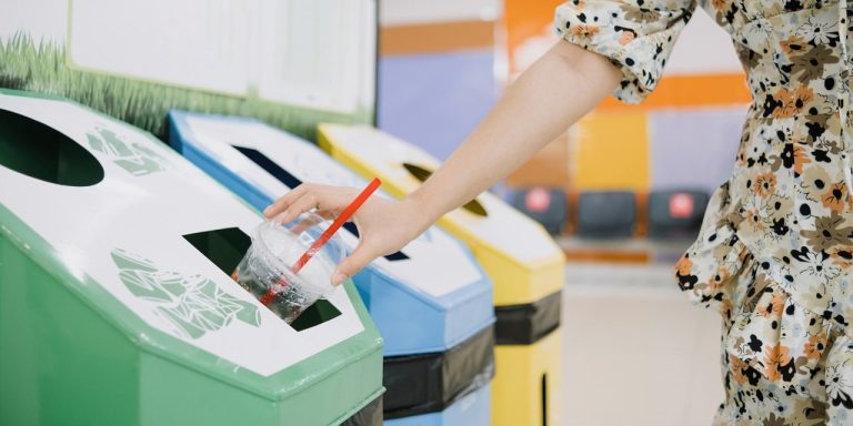 Sostenibilidad empresarial: claves para reducir el impacto ambiental