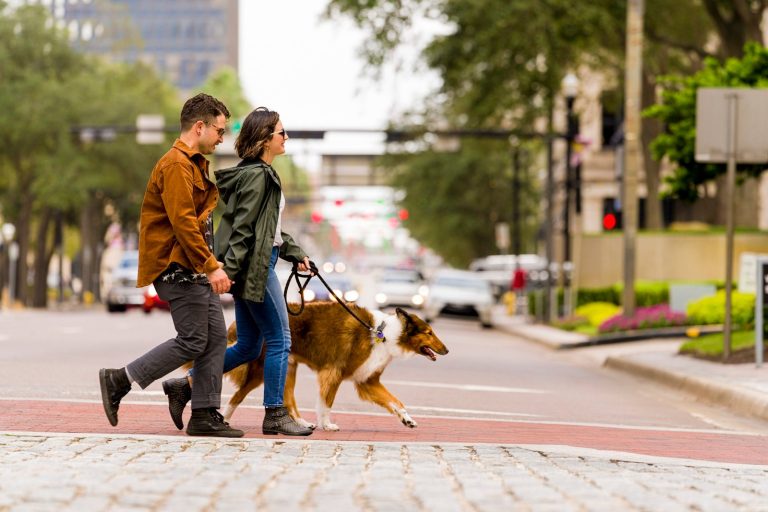 Un mundo, una salud: enfoque que conecta personas, animales y ambiente