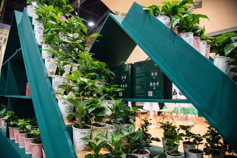Un tinto para el cerebro y el bienestar, ciencia y cultura en Cafés de Colombia Expo