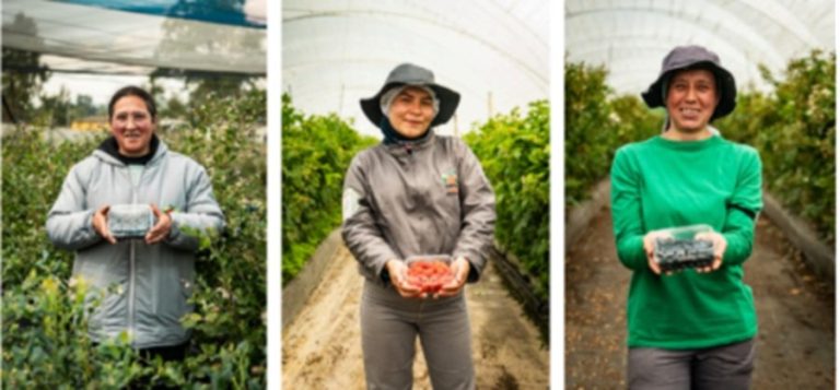Visibilizan a las madres cabeza de familia que cultivan frescura