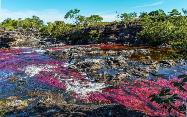 Vuelos directos desde Bogotá a La Macarena para disfrutar Caño Cristales