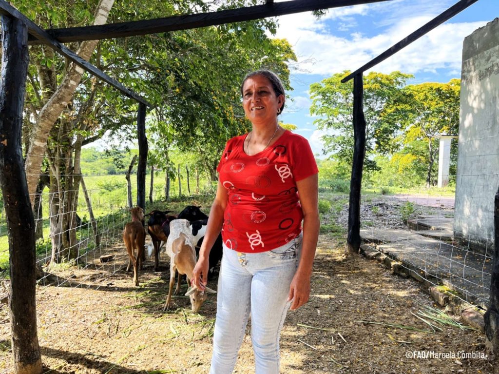 Zambrano, Bolívar, le apuesta a la paz desde el campo