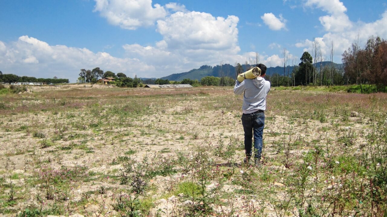 Protegidas más de 60 especies silvestres en la Sabana de Bogotá, por modelo de conservación en obras urbanas