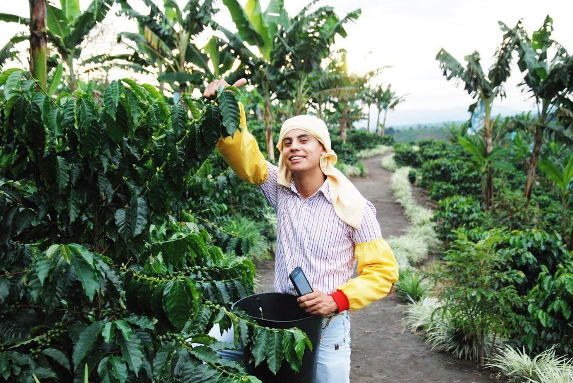 Hasta el 30 de junio, Calarcá vive la Fiesta Nacional del Café 2025