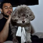 «Una historia de amor»: la mujer que murió para salvar a su perro del terremoto en Colombia