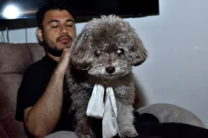 «Una historia de amor»: la mujer que murió para salvar a su perro del terremoto en Colombia