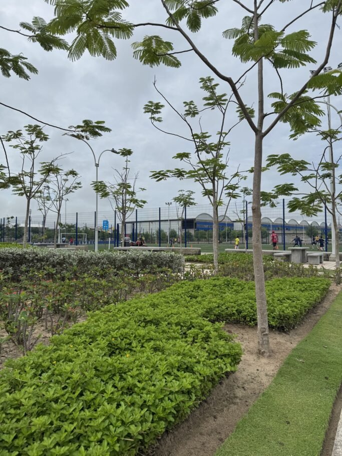 “Barranquilla avanza hacia un futuro verde y sostenible”