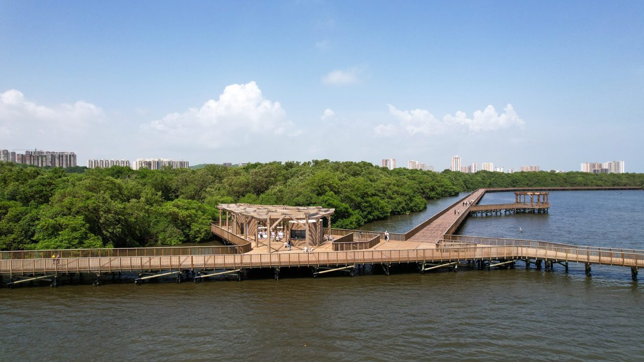 Ecoparque Ciénaga de Mallorquín: más por el turismo de naturaleza